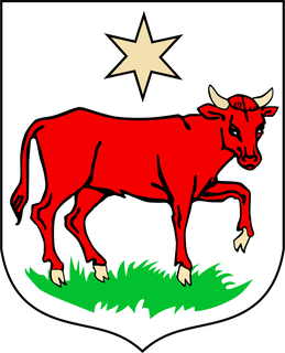 Herb Urząd Miejski w Wielichowie